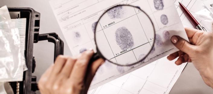 תוכנית ניצבים